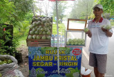 Rujak Jambu Kristal: Sensasi Segar yang Bikin Ketagihan dan Sehat