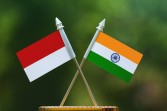India–Indonesia Gelar Hari Ayurveda, Sambut Pakar Global