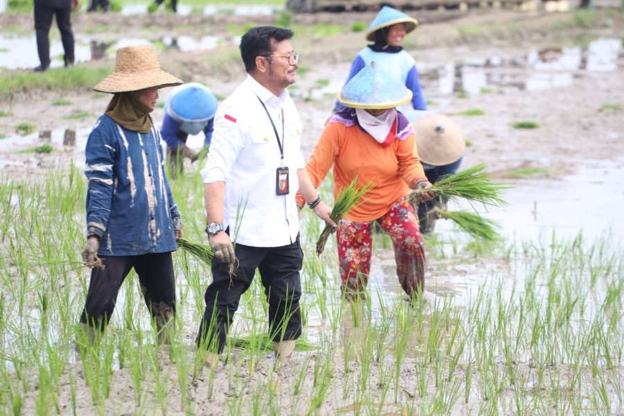 Eks Menteri Pertanian Syahrul Yasin Limpo Divonis 10 Tahun Penjara oleh Pengadilan Tipikor Jakarta