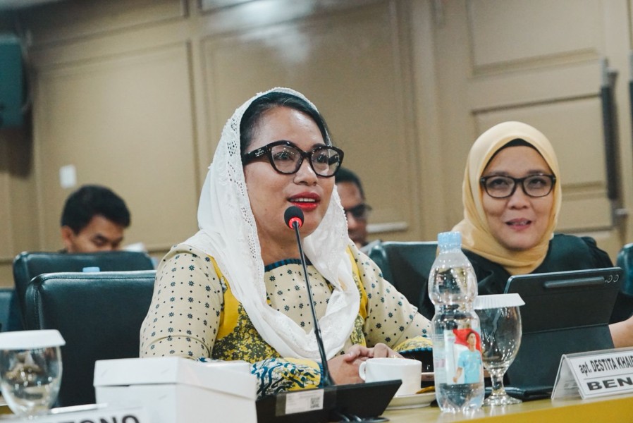 Senator Destita Minta BPOM Perkuat Pengawasan MBG, Soroti Maraknya Kasus Keracunan