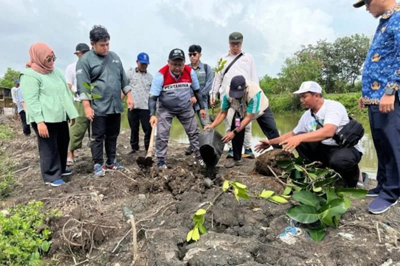 Lestarikan Lingkungan, Pertamina dan Warga Tanam Ribuan Bibit Pohon