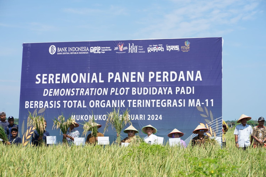 Berbelanja Bijak untuk Antisipasi Kenaikan Harga Beras di Bengkulu