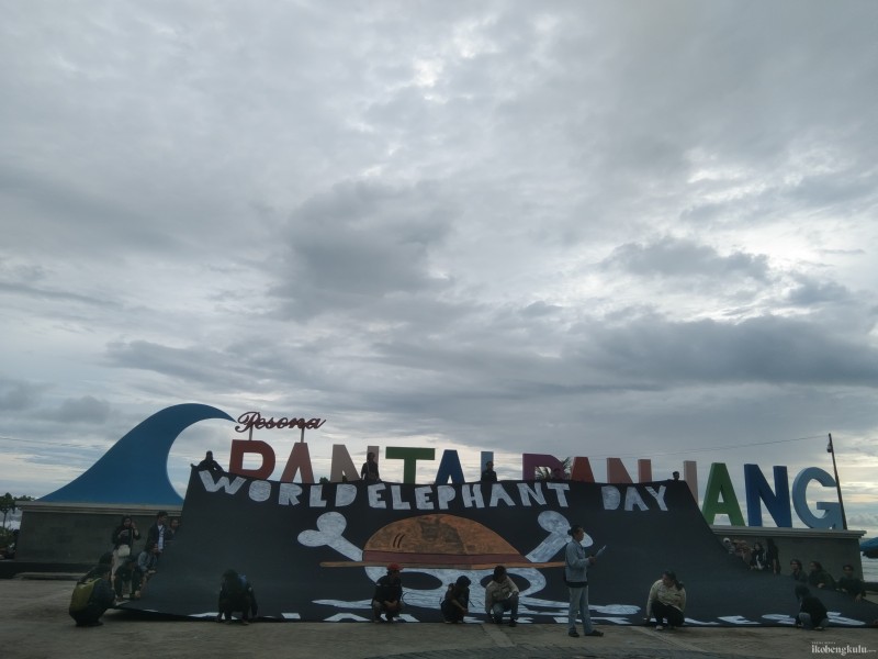 Hari Gajah Sedunia Jadi Momentum Tingkatkan Kepedulian terhadap Gajah Sumatera