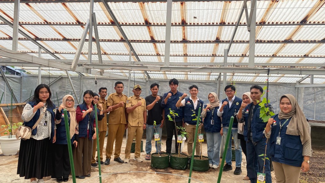 Digitalisasi Kebun Anggur, Mahasiswa KKN UNIB Pasang Barcode Informasi di Desa Suka Sari