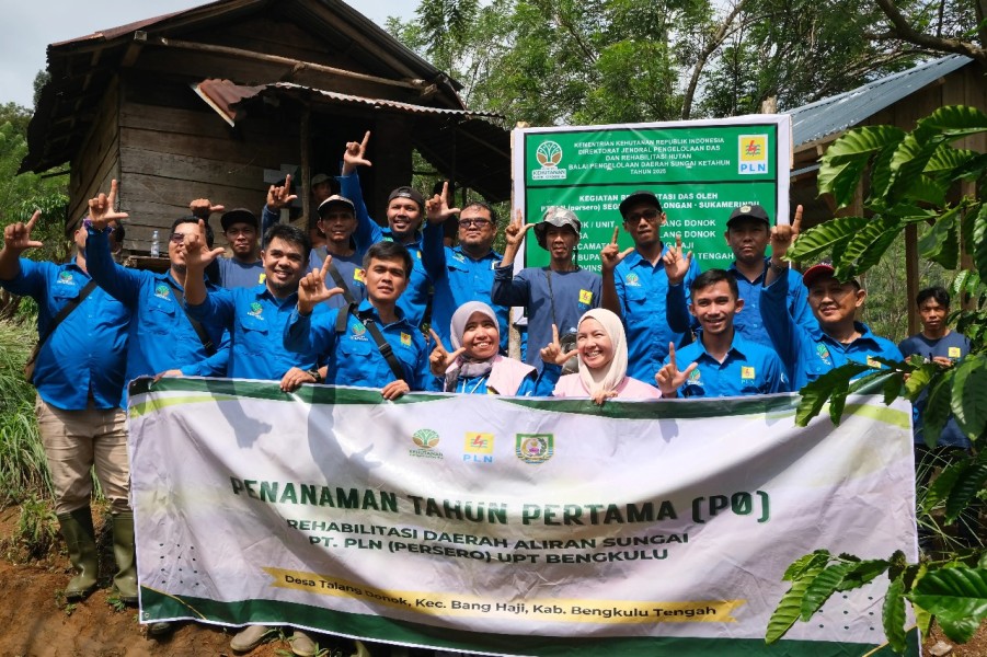 Wujud Nyata Komitmen Pelestarian Lingkungan, PLN UPT Bengkulu Gelar Aksi Penanaman Pohon