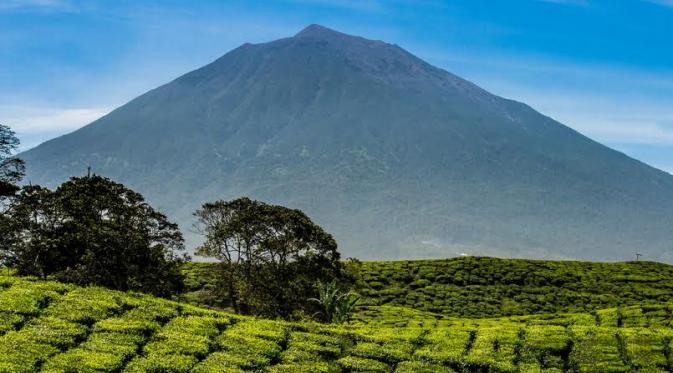 Suku Kerinci, Manusia Pertama yang Mendiami Sumatera.