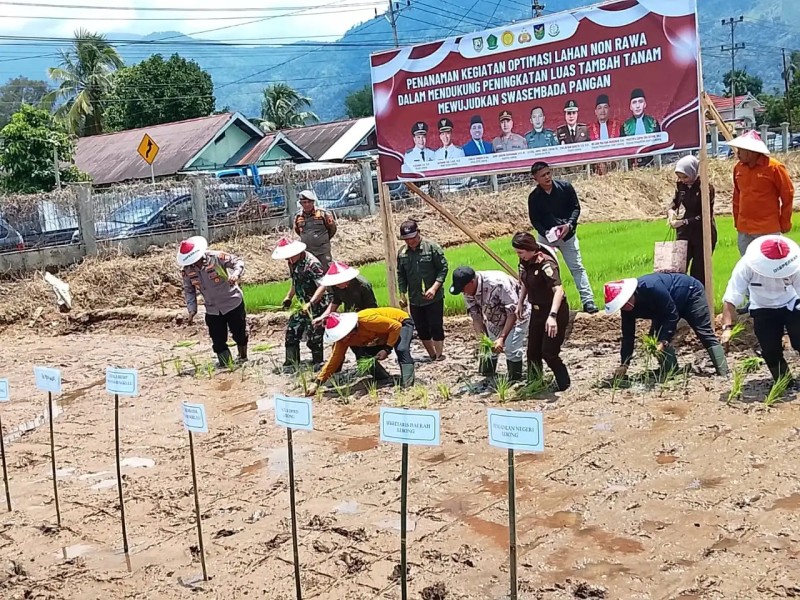 Bupati Lebong Launching Program OPLAH Non Rawa, Tanam Padi dan Kedelai Serentak