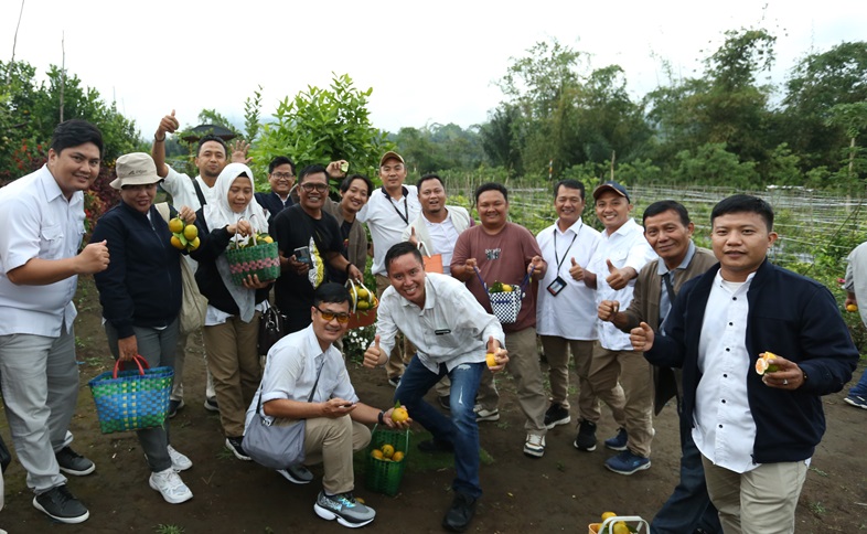 Manisnya Agrowisata Rejang Lebong: Kisah Kebun Jeruk Gergah yang Mengundang Wartawan dan Bank Indonesia