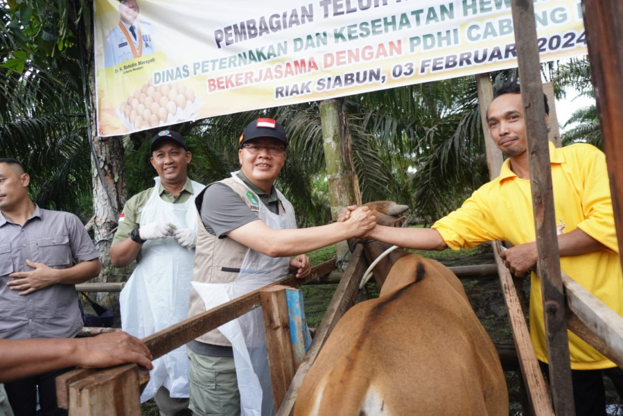 Gubernur Rohidin Transformasikan Desa Riak Siabun Jadi Sentra Peternakan Bengkulu, Infrastruktur 60 Miliar Siap Dibangun!