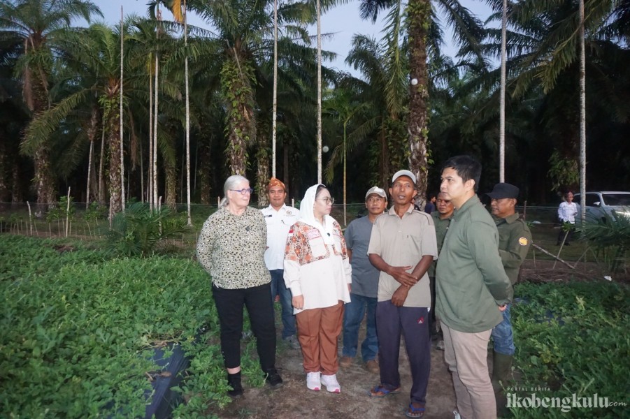 Ajak Profesor Universitas Terbaik Dunia, Destita Dukung Petani Sawit di Seluma