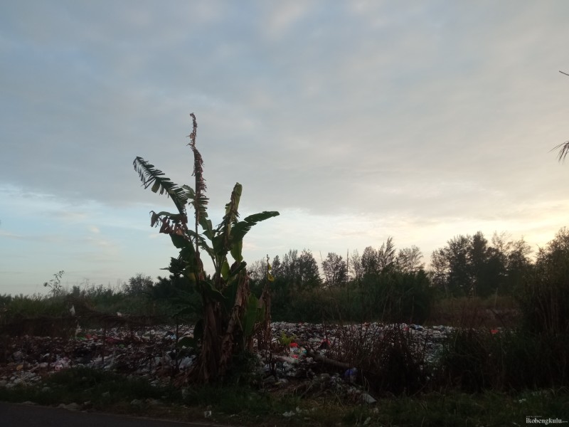 Potret Tumpukan Sampah di Jalan Sungai Hitam Kikis Keindahan dan Kesehatan