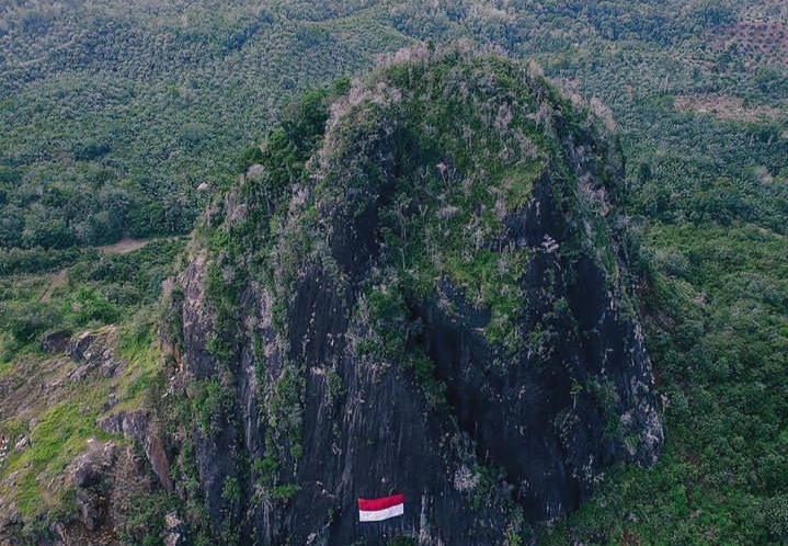 Eksplorasi Bukit Kandis, Surga Tersembunyi di Bengkulu Tengah yang Menyimpan Pesona Alam Luar Biasa