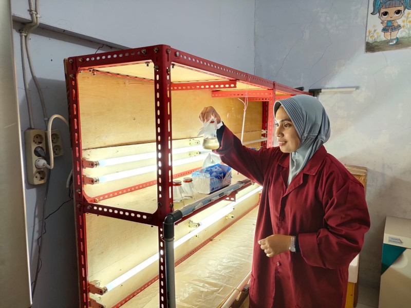 Pendidikan Vokasi Indonesia Siap Hadapi Era Disrupsi Teknologi: Transformasi dan Integrasi dengan Industri