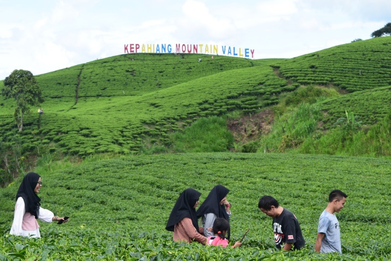 Promosi Era Digital, Disparpora Kepahiang Dorong Wisata Lokal Jadi Daya Tarik Utama