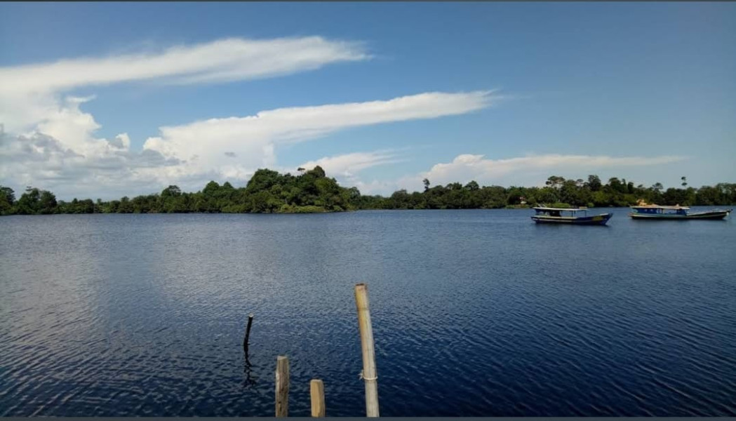 Keindahan Tersembunyi Danau Nibung: Pesona Alam yang Memikat