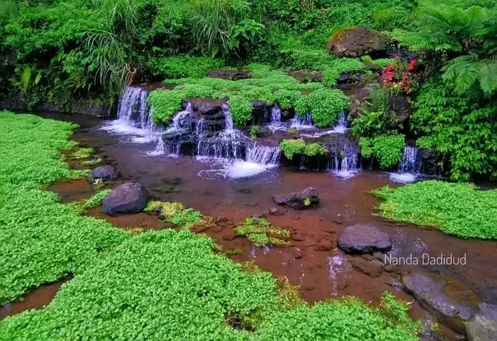 Tersembunyi di Balik Keindahan Green Paradise Pagaralam