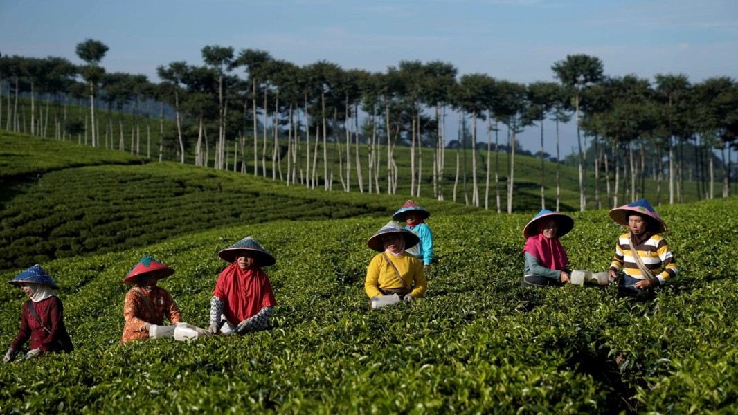 Kepahiang Kembangkan Agrowisata, Perkuat Posisi sebagai Destinasi Wisata Alam di 2025