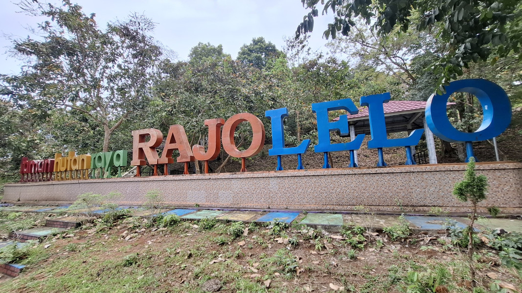 Taman Hutan Raya Rajo Lelo: Surga Hutan Tersembunyi di Bengkulu