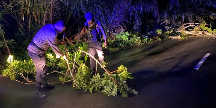 Sigap ! Personil Piket Polres Bengkulu Utara Laksanakan Pembersihan dan Pengaturan Disekitaran Pohon Tumbang