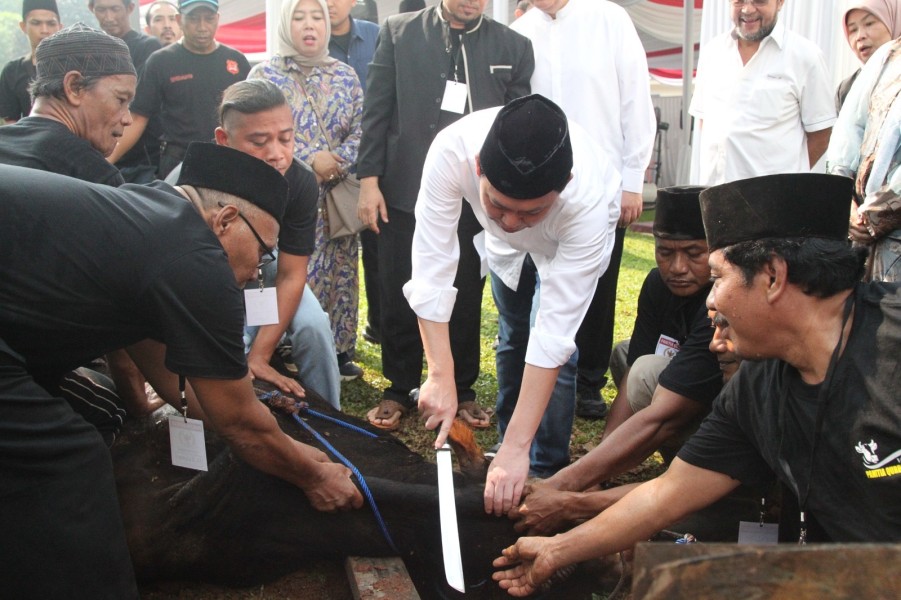DPD RI Laksanakan Penyembelihan Hewan Kurban Iduladha 1446 H
