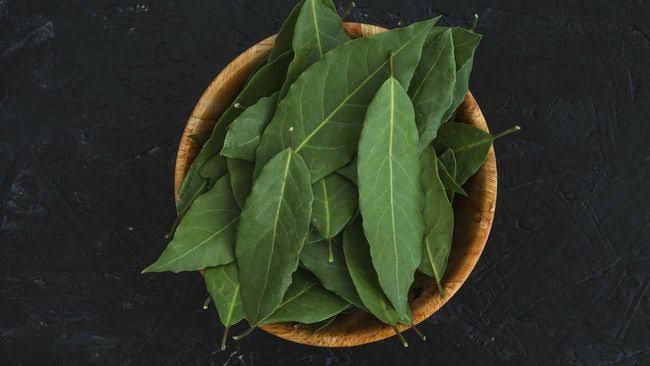 Daun Salam, Rempah Dapur yang Kaya Manfaat bagi Kesehatan