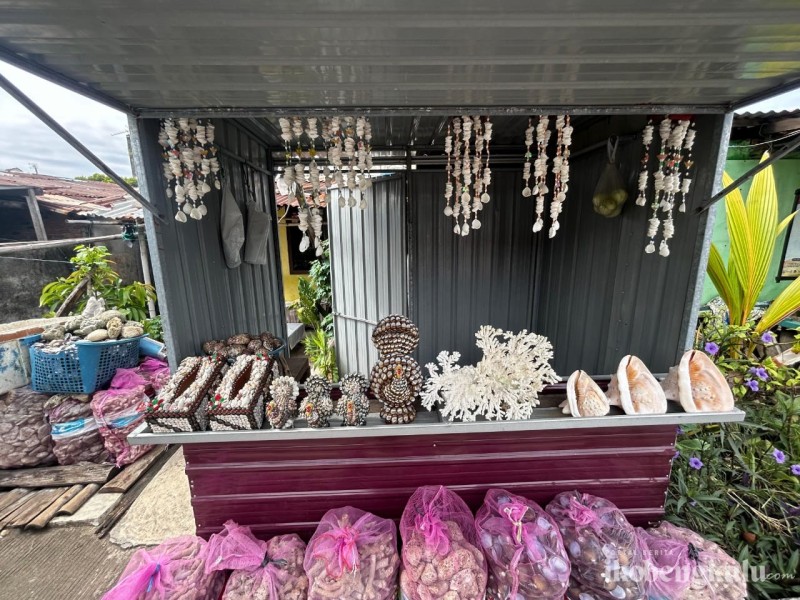 Kerajinan Kerang Pantai Malabero, Ubah Limbah Jadi Bernilai Jual Tinggi