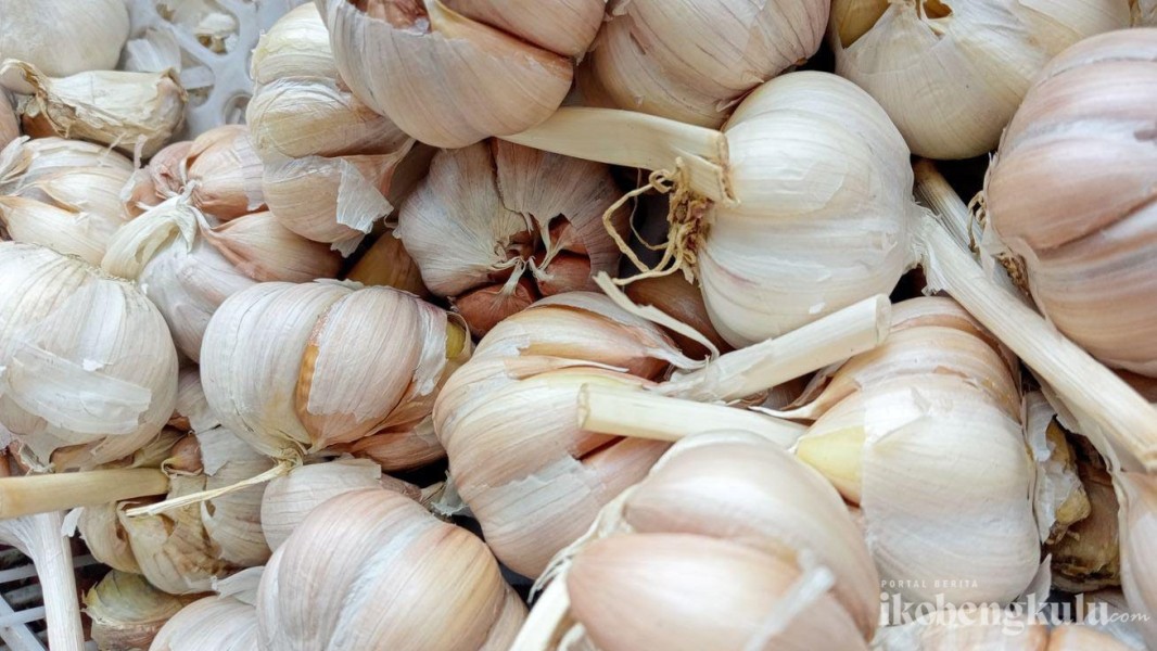 Harga Bawang Putih Naik di Pasar Panorama Bengkulu