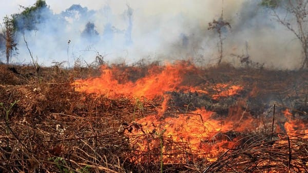 Karhutla Jadi Perhatian Serius Pemkot, Warga Diimbau Jangan Bakar Lahan