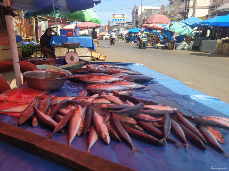 30 Tahun Antono Eksis Berjualan Ikan