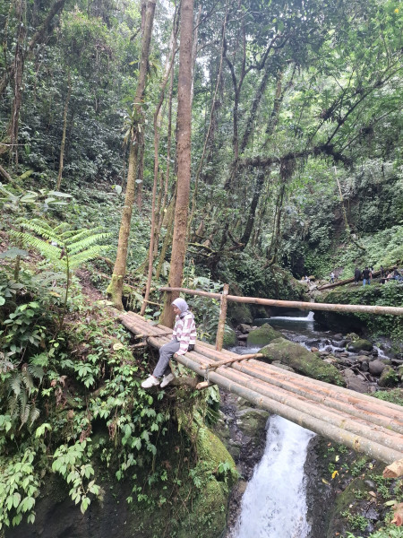 Curug Papat: Surga Tersembunyi di Rejang Lebong, Destinasi Wajib Bagi Pecinta Alam