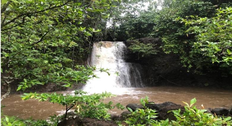 Air Terjun Gentar Alam: Keajaiban Tersembunyi di Hutan Seluma