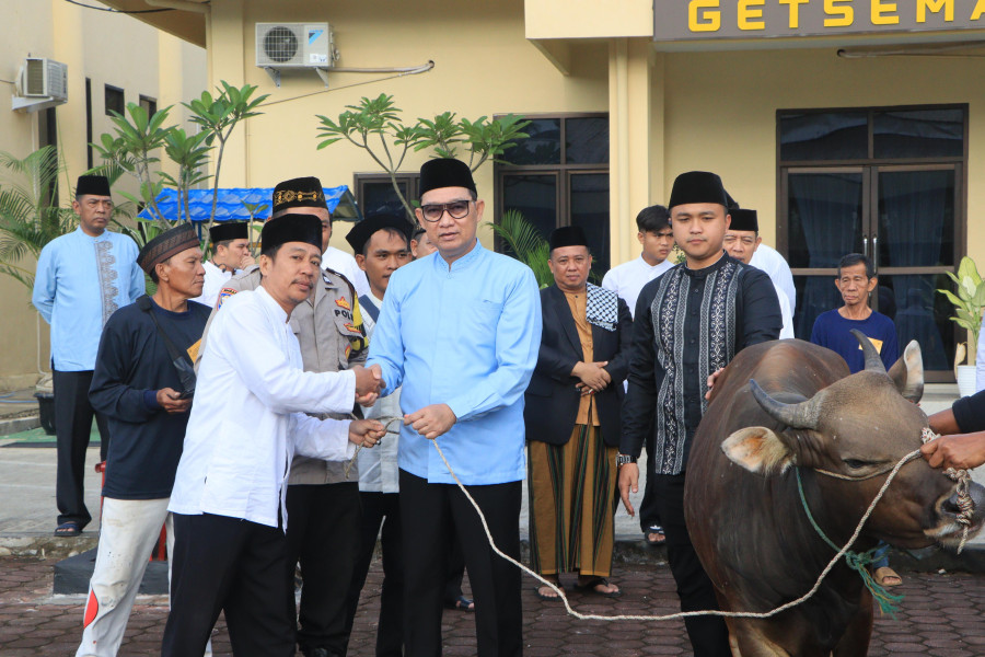Polda Bengkulu Qurban 28 Sapi dan 7 Kambing di Hari Raya Idul Adha