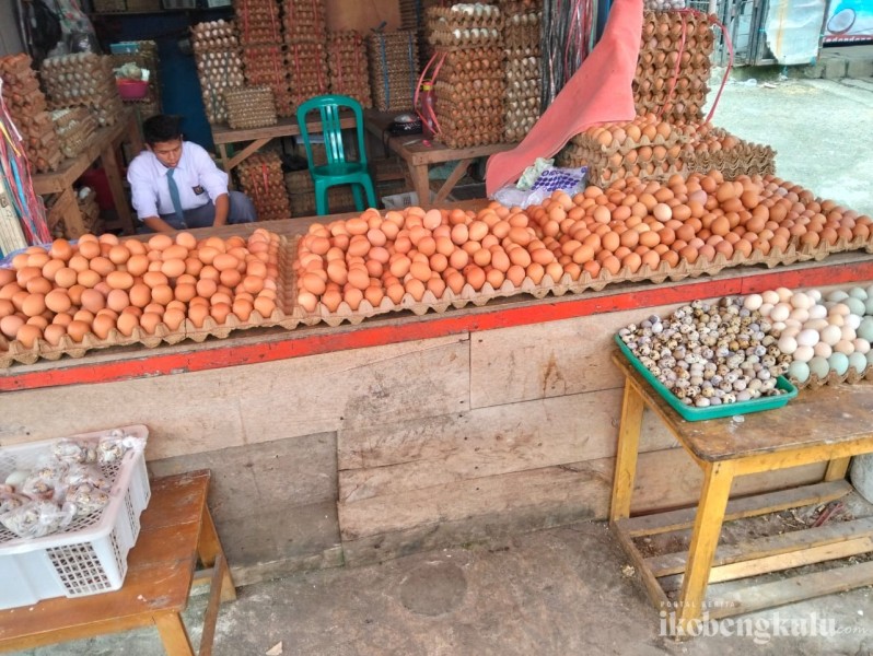 Harga Telur Naik, Pembeli Kurangi Belanja