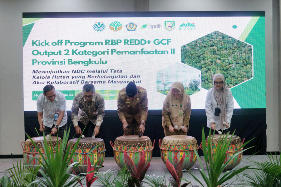 Bengkulu Catat Penurunan Laju Deforestasi, Tantangan Baru Menanti