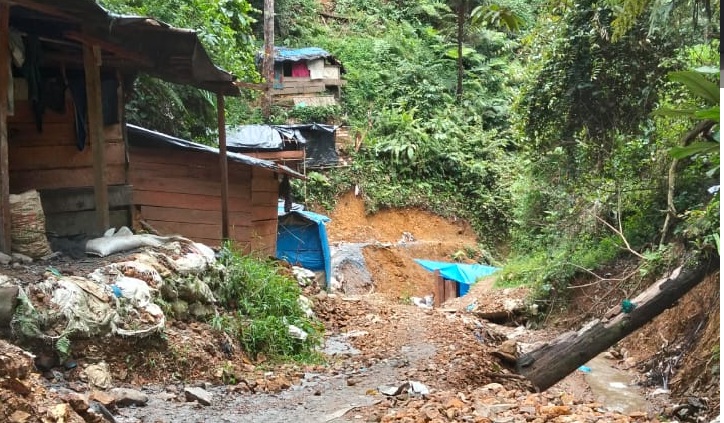 Hutan Warisan Dunia TNKS Terkoyak Tambang Emas Ilegal di Lebong