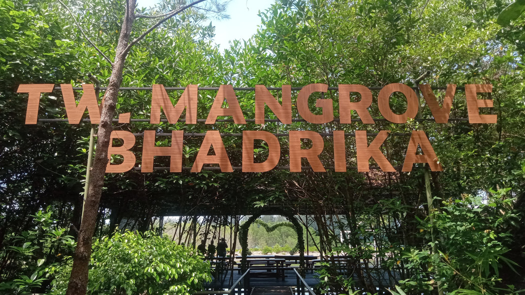 Bhadrika: Surga Tersembunyi di Pesisir Bengkulu, Menawarkan Edukasi dan Hiburan di Tengah Keindahan Mangrove