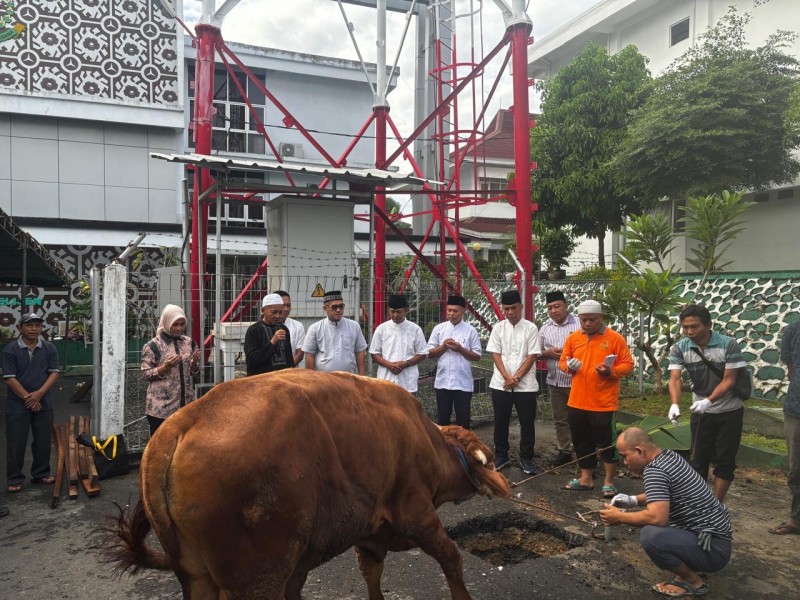 Kurban 16 Ekor Sapi, Kejati Bengkulu Bagikan Ribuan Kilogram Daging ke Warga