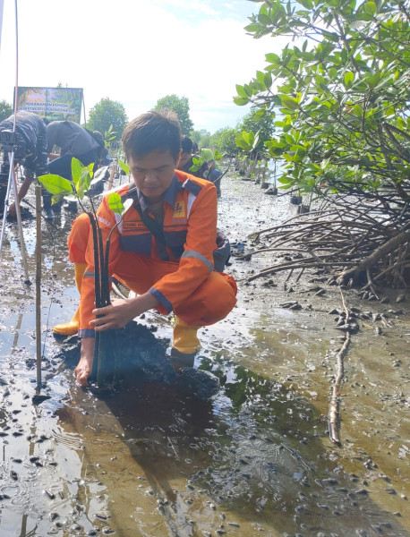Hijaukan Lingkungan, PLN Turut Tanam Pohon Serentak Bersama Menteri Kehutanan