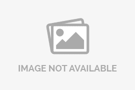 Peringatan Hari Ibu ke-97, Bengkulu Perkuat Peran Perempuan Menuju Indonesia Emas 2045